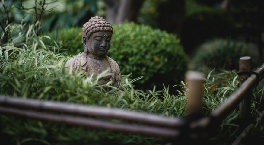 Step-by-Step Guide to Creating a Zen Garden at Home