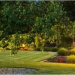 Essential Tips for Planning a Beautiful Landscape Design