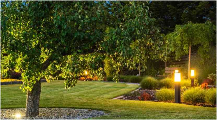 Essential Tips for Planning a Beautiful Landscape Design