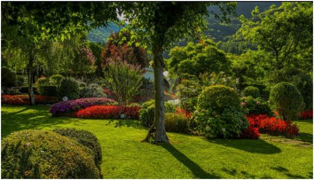 Key Principles of Landscape Design
